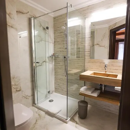 Pensiunea Nora Πανσιόν Τιμισοάρα