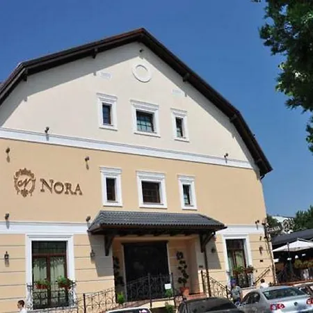 Pensiunea Nora Гостевой дом 3*
