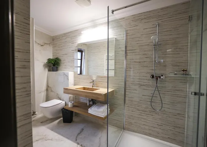 Pensiunea Nora Pensionat Timişoara