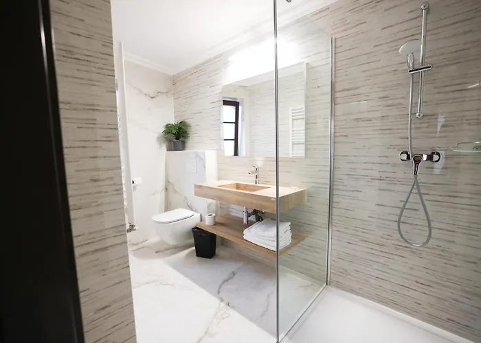 Pensiunea Nora Pensionat Timişoara