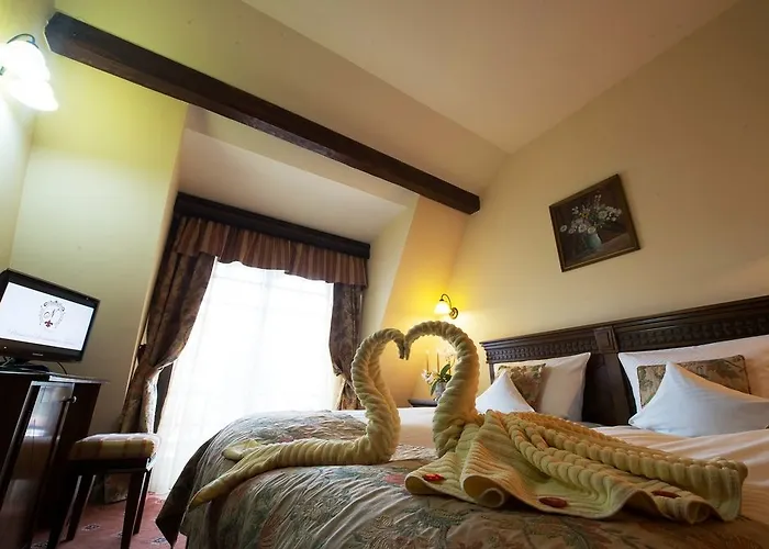 Pensiunea Nora Pensionat Timişoara