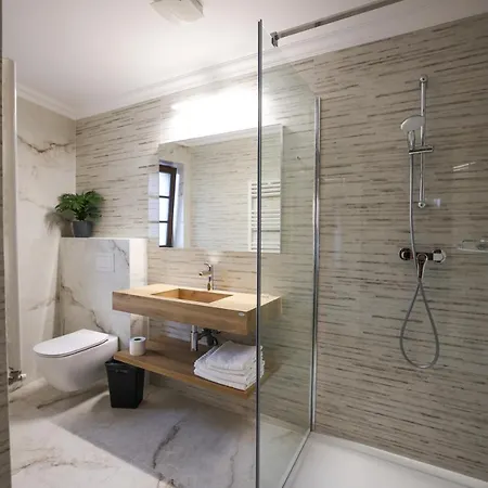 Pensiunea Nora Guest house Timisoara