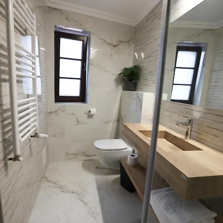 Pensiunea Nora 3* Timisoara