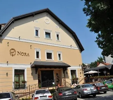 Pensiunea Nora Guest house