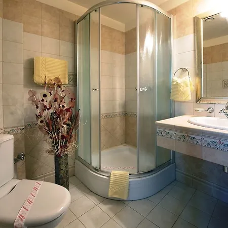 Pensiunea Nora Guest house Timisoara