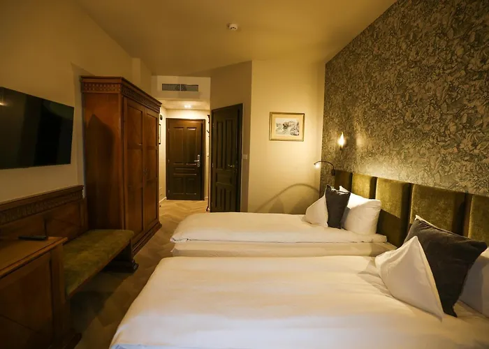 Pensiunea Nora 3* Timișoara