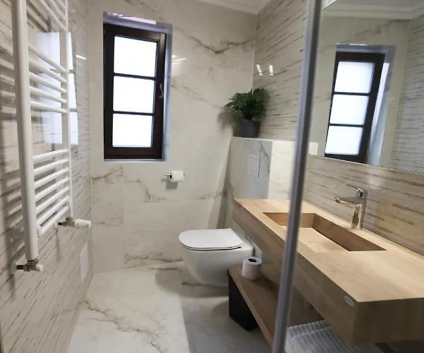 Pensiunea Nora 3* Timișoara