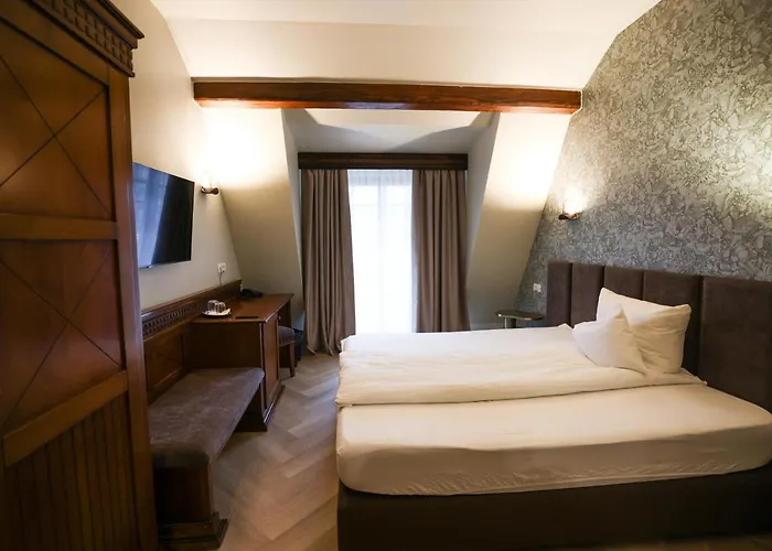 Pensiunea Nora 3* Timișoara