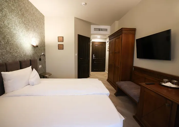 Pensiunea Nora Timișoara