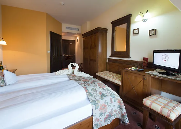 Pensiunea Nora Pensjonat 3*