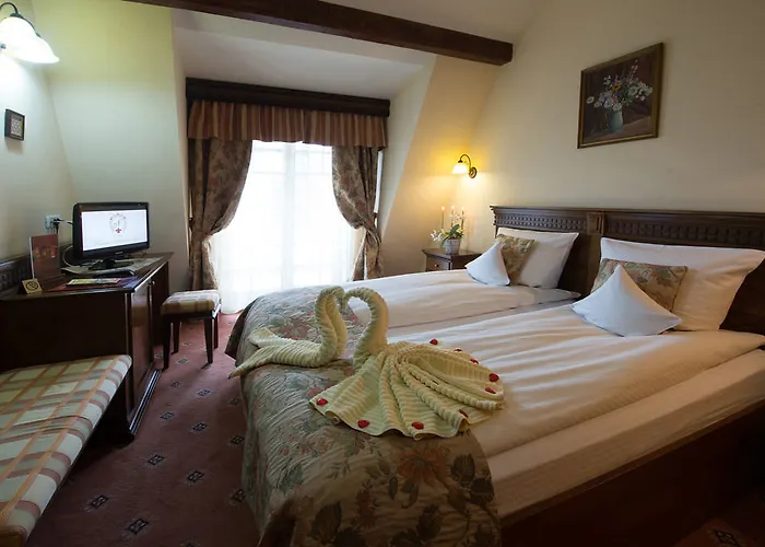 Pensiunea Nora 3* Timișoara