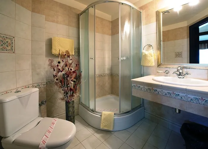 Pensiunea Nora Pensjonat Timișoara